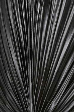 Applique noire en feuille de palmier Vent 