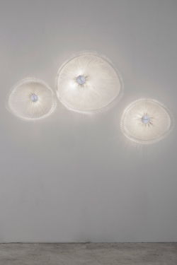 Onn wall lamp sea urchin small model