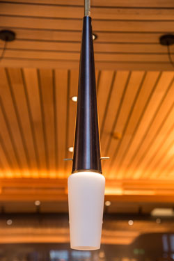 Bacon black and gold contemporary metal pendant light