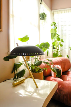 Lampe de bureau rétro dorée et noire Landis