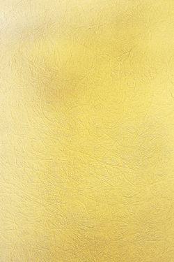 Ola applique blanche en fibre de verre