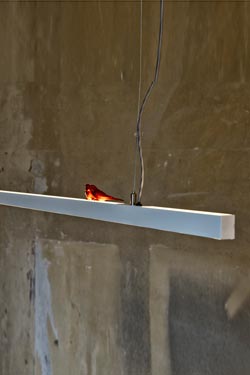 Suspension LightLane 120cm petites perruches rouges