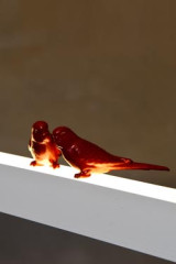 Suspension LightLane 120cm petites perruches rouges - Suspension by LichtRaum Funktion
