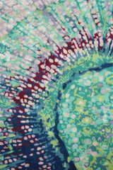 tapis Quartz motif impressionniste vert et bordeaux 170X240 - Tapis contemporain by MA Salgueiro