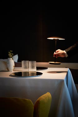 Ginger LED battery lamp in light wood