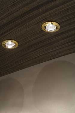 Round gold-plated recessed spotlight