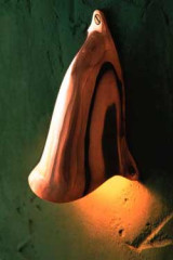 Shell Light polished bronze wall light - Circulation areas by Nautic by Tekna