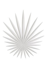 Applique blanche en étoile Bismarkia - Applique by Quintiesse