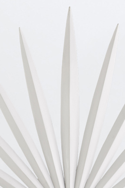 Bismarkia white star-shaped wall light